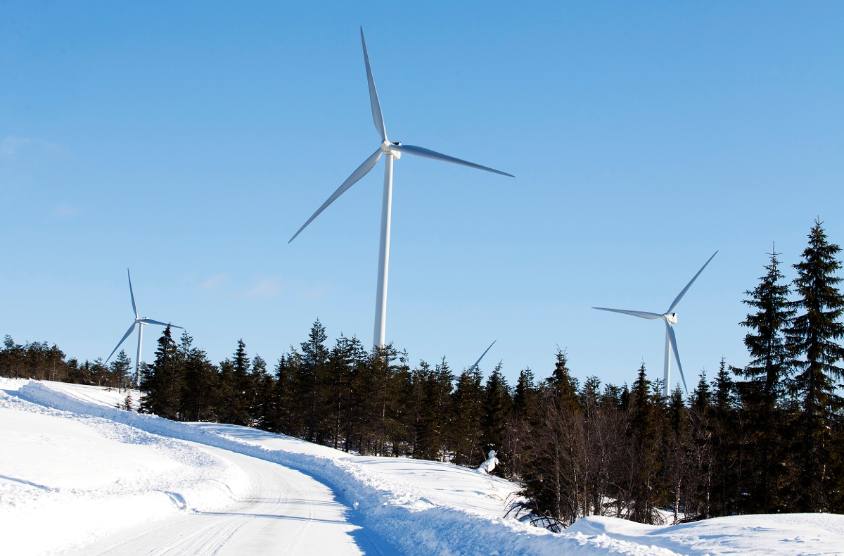 Stor-Rotliden Wind Farm
