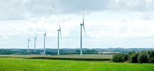 Der Windpark Bajlum